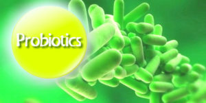 probiotics against bad breath